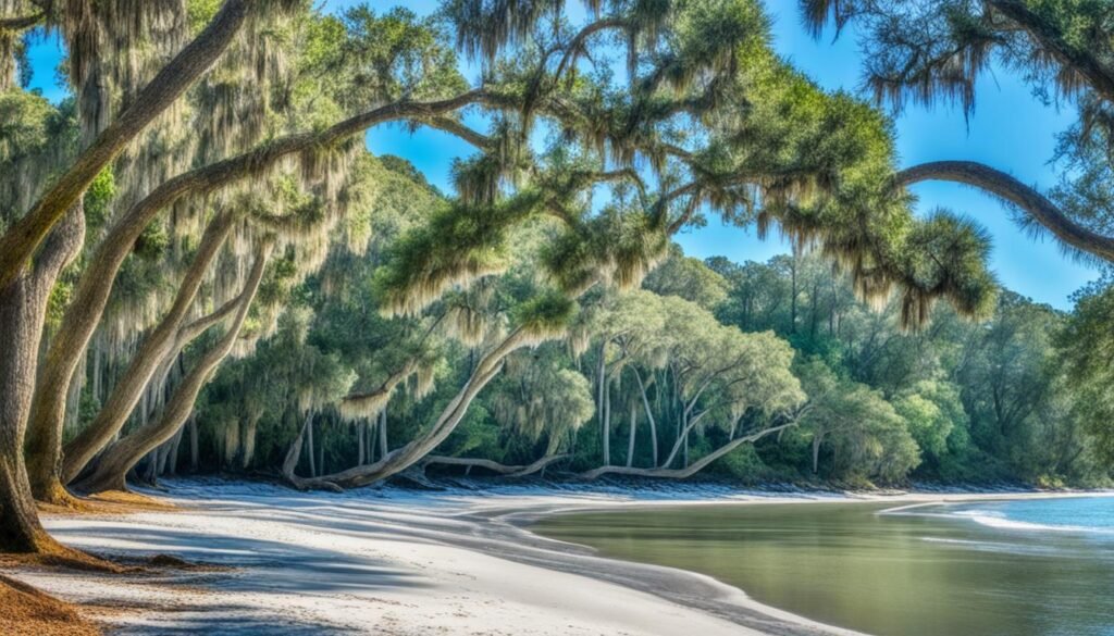 Little St. Simons Island